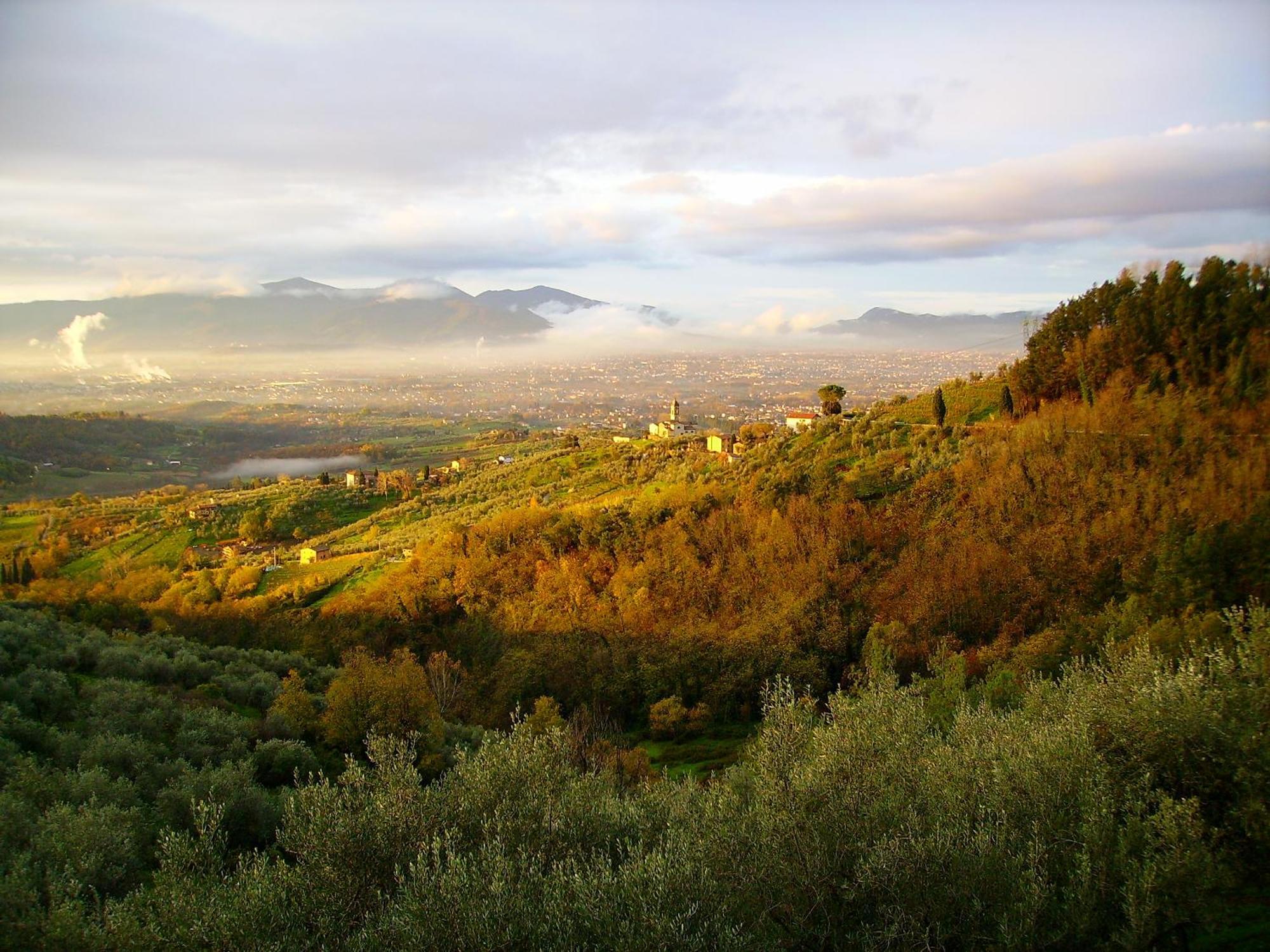 Fattoria Gambaro Di Petrognano Villa Collodi Luaran gambar
