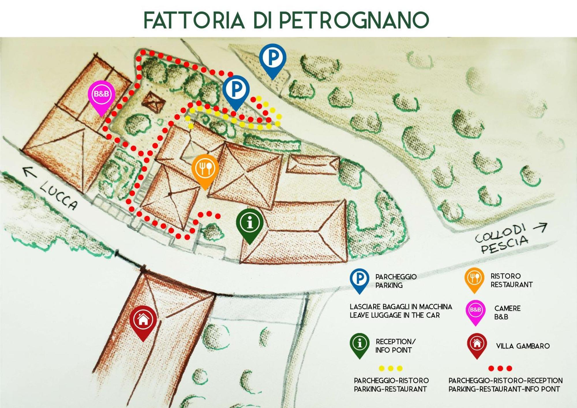Fattoria Gambaro Di Petrognano Villa Collodi Luaran gambar
