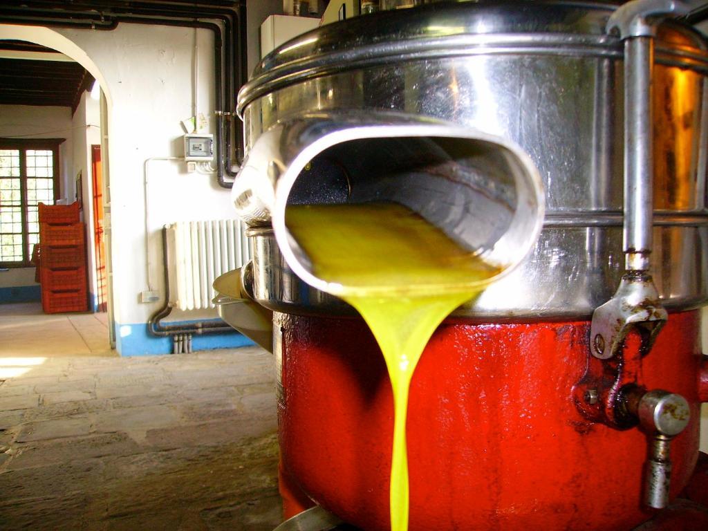 Fattoria Gambaro Di Petrognano Villa Collodi Luaran gambar