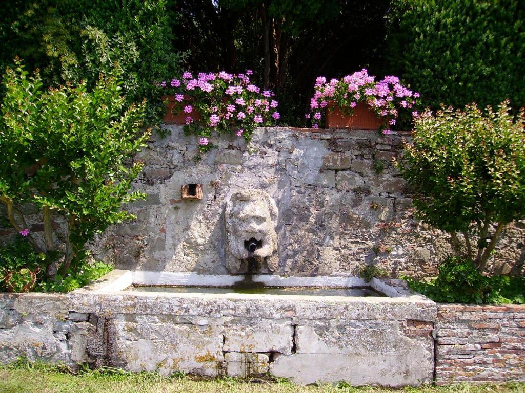 Fattoria Gambaro Di Petrognano Villa Collodi Luaran gambar