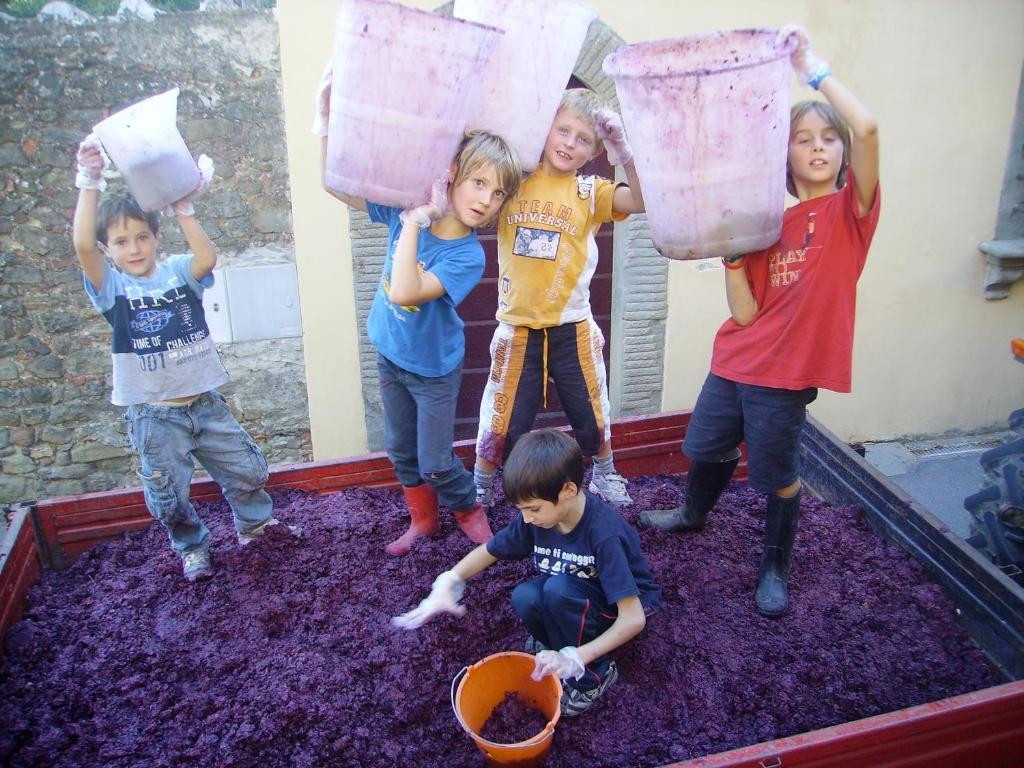 Fattoria Gambaro Di Petrognano Villa Collodi Luaran gambar