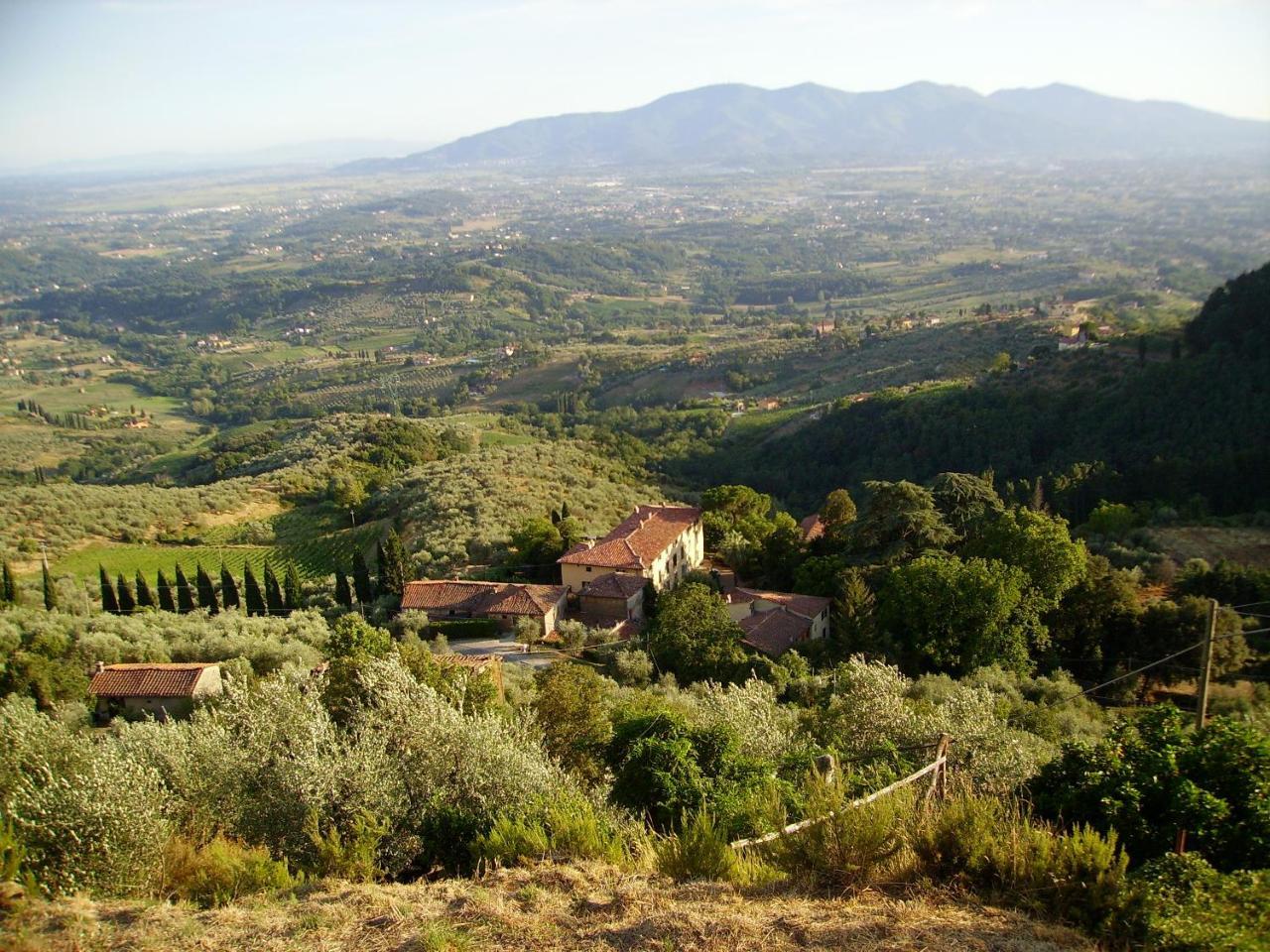 Fattoria Gambaro Di Petrognano Villa Collodi Luaran gambar